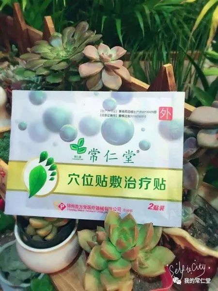 室內養多肉有毒嗎_哪些多肉有毒不適合養在室內_有毒的多肉植物