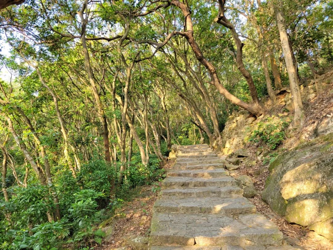 泉州清源山景點(diǎn)講解_泉州旅游清源山_泉州清源山上山攻略