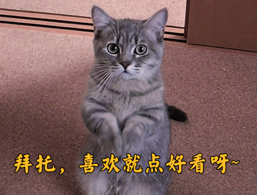 多肉上盆水澆多了怎么辦_多肉上盆后怎么澆水_多肉澆水盆底一下子就漏水