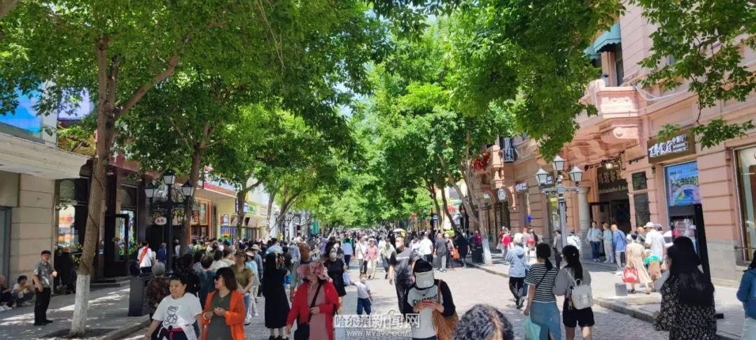 東北三省親子自駕線路_夏季東北旅游攻略_哈爾濱夏季旅游攻略