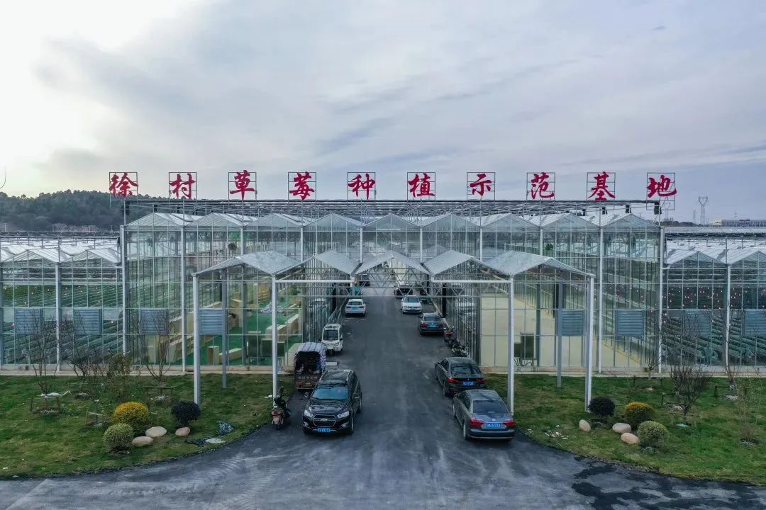 春來鎮江句容踏春祈福線路_句容旅游攻略一日游_茅山景區石磨豆腐村葛仙湖公園伏熱花海