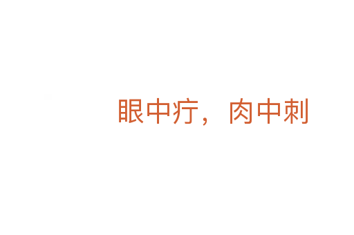 眼中疔，肉中刺