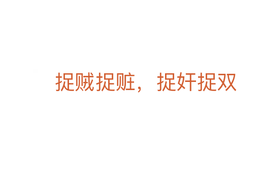 捉賊捉贓,捉奸捉雙