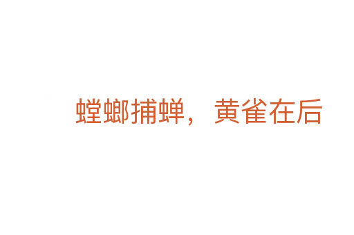 螳螂捕蟬,黃雀在后