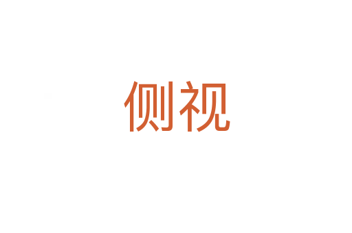 側視