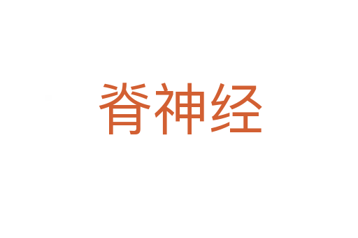 脊神經