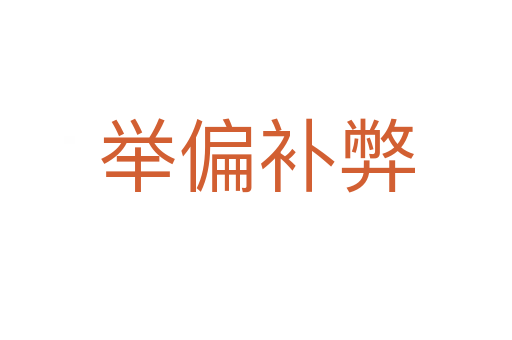 舉偏補弊