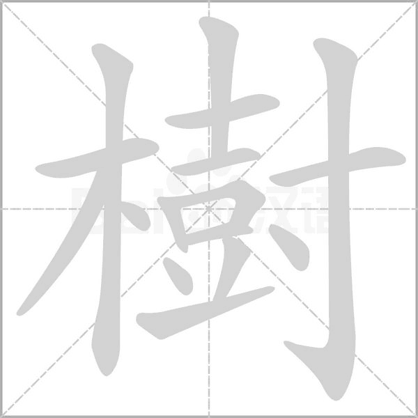 樹的筆順動畫演示