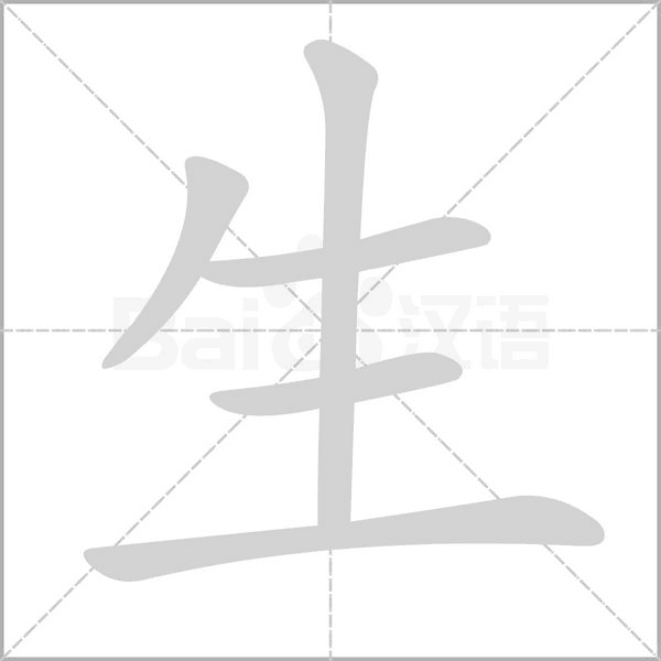 生的筆順動(dòng)畫演示