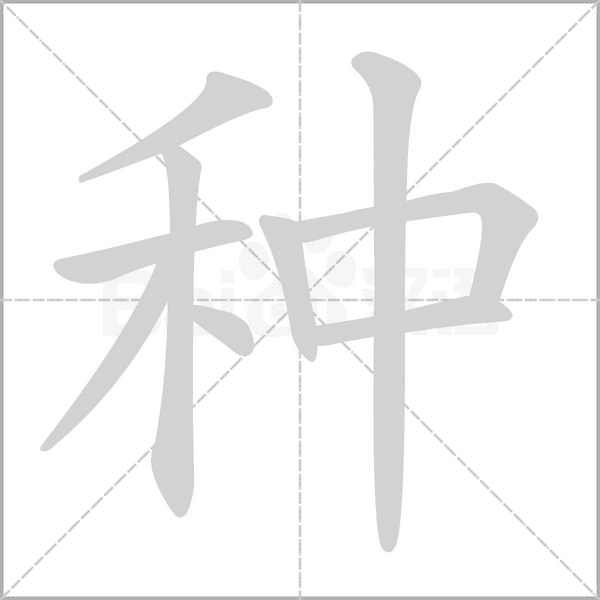種的筆順動(dòng)畫(huà)演示