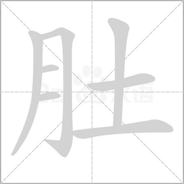 肚的筆順動(dòng)畫(huà)演示