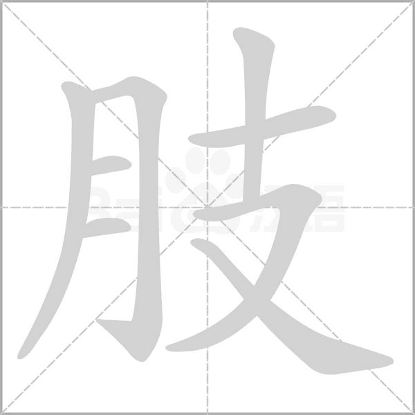 肢的筆順動畫演示