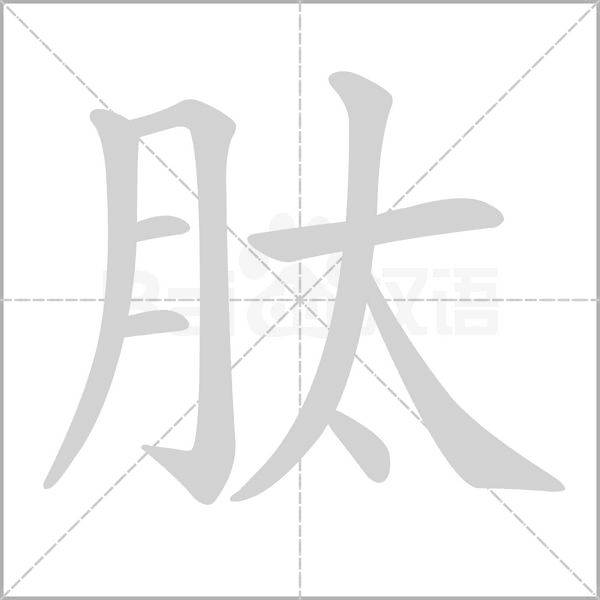 肽的筆順動(dòng)畫演示