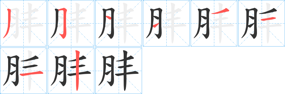 肨的筆順分步演示