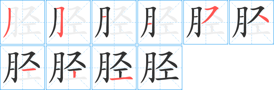 脛的筆順分步演示