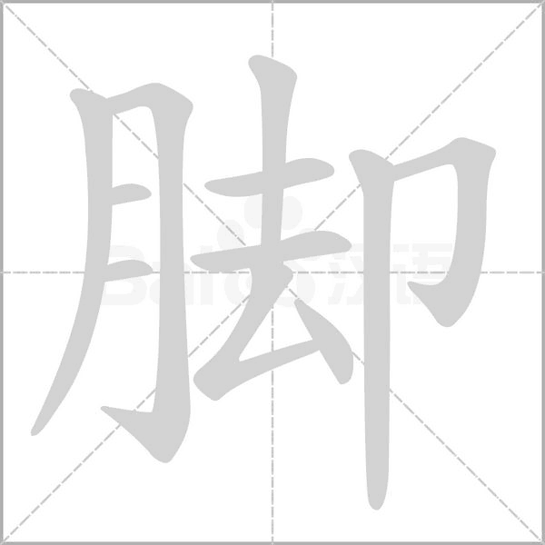 腳的筆順動(dòng)畫(huà)演示