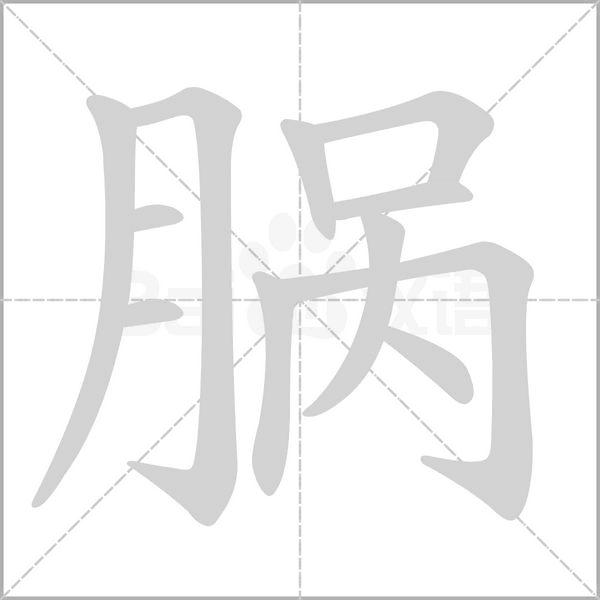 腡的筆順動(dòng)畫(huà)演示