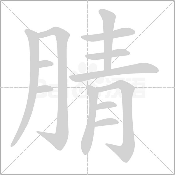 腈的筆順動(dòng)畫演示