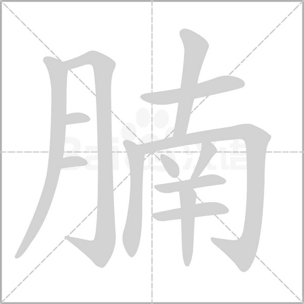 腩的筆順動(dòng)畫(huà)演示