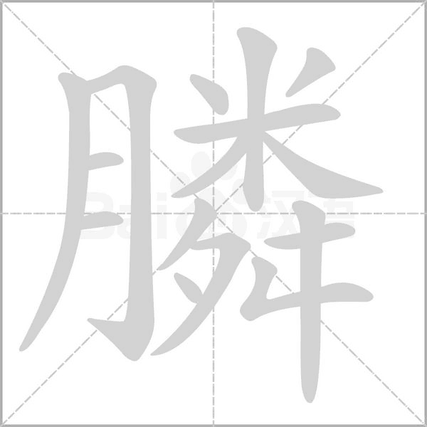 膦的筆順動(dòng)畫(huà)演示