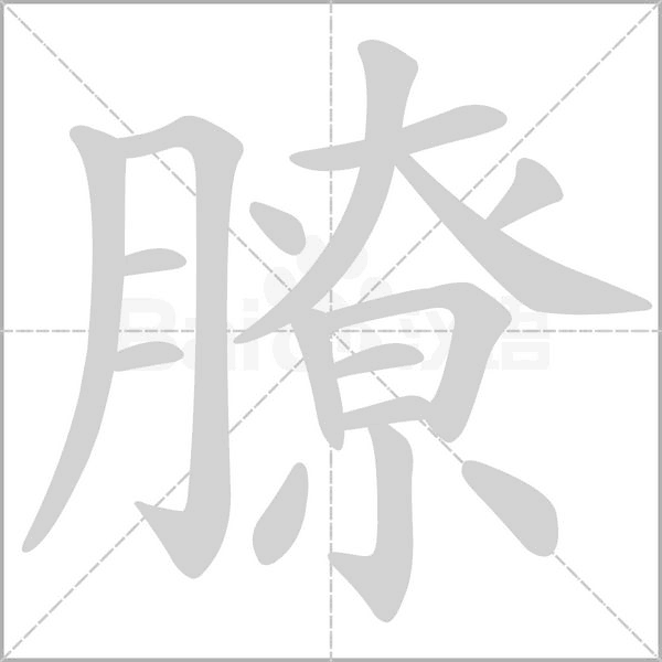 膫的筆順動畫演示