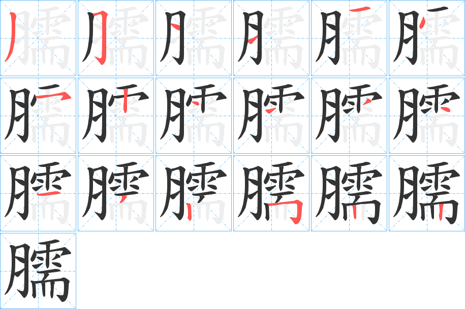 臑的筆順分步演示