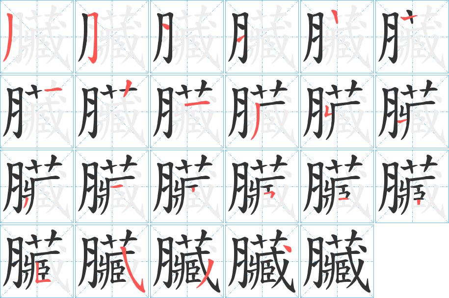 臟的筆順分步演示