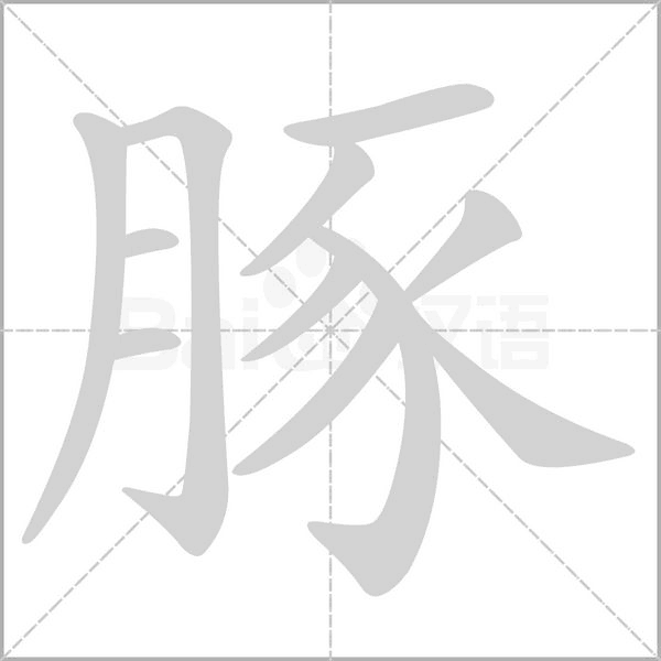 豚的筆順動(dòng)畫演示