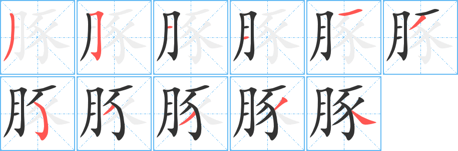 豚的筆順?lè)植窖菔?>
					
                    <hr />
                    <h2>豚的基本信息</h2>
                    <div   id=