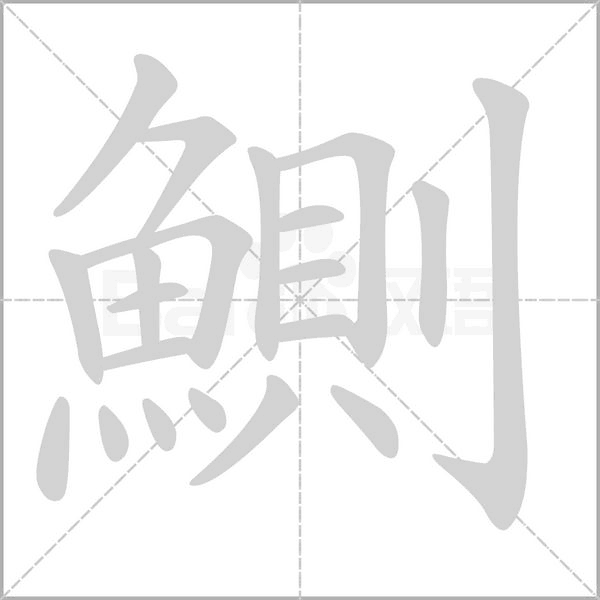 鰂的筆順動(dòng)畫(huà)演示