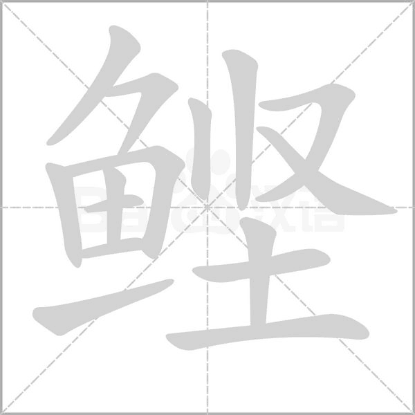 鰹的筆順動(dòng)畫(huà)演示