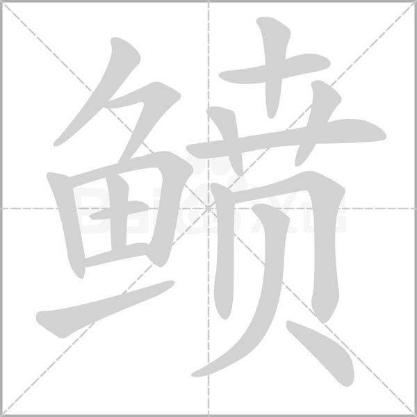鲼的筆順動畫演示
