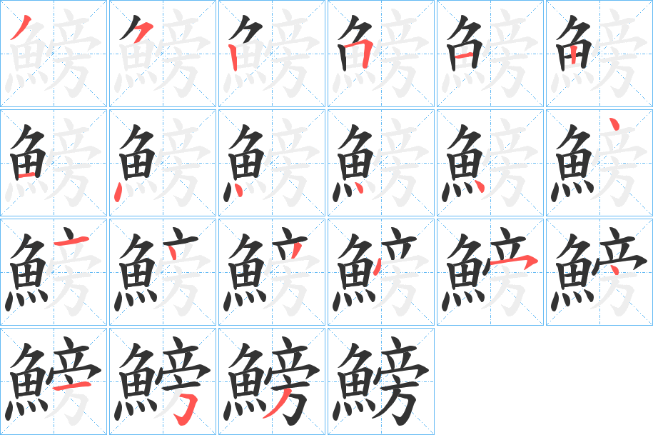 鰟的筆順分步演示